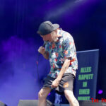 Dokk'em Open Air 2019: Insanity Alert
